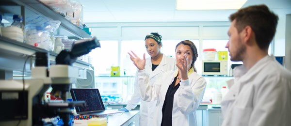 Cancer researchers at the Netherlands Cancer Institute