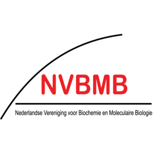Nvbmb 2019