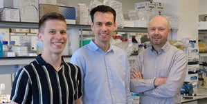 Possible New Approach To Immune Resistant Cancer Cells