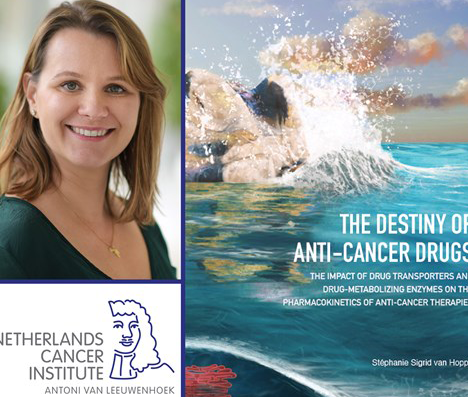Thesis Defense Stephanie Van Hoppe The Destiny Of Anti Cancer Drugs Preview Photo 1