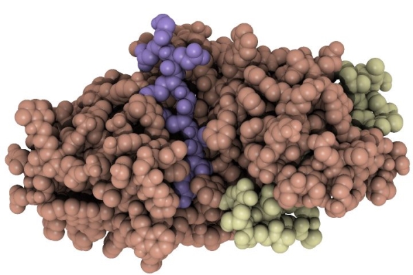 Solving A Molecular Scissors Mystery