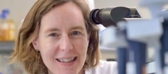 Dr. Marleen Kok