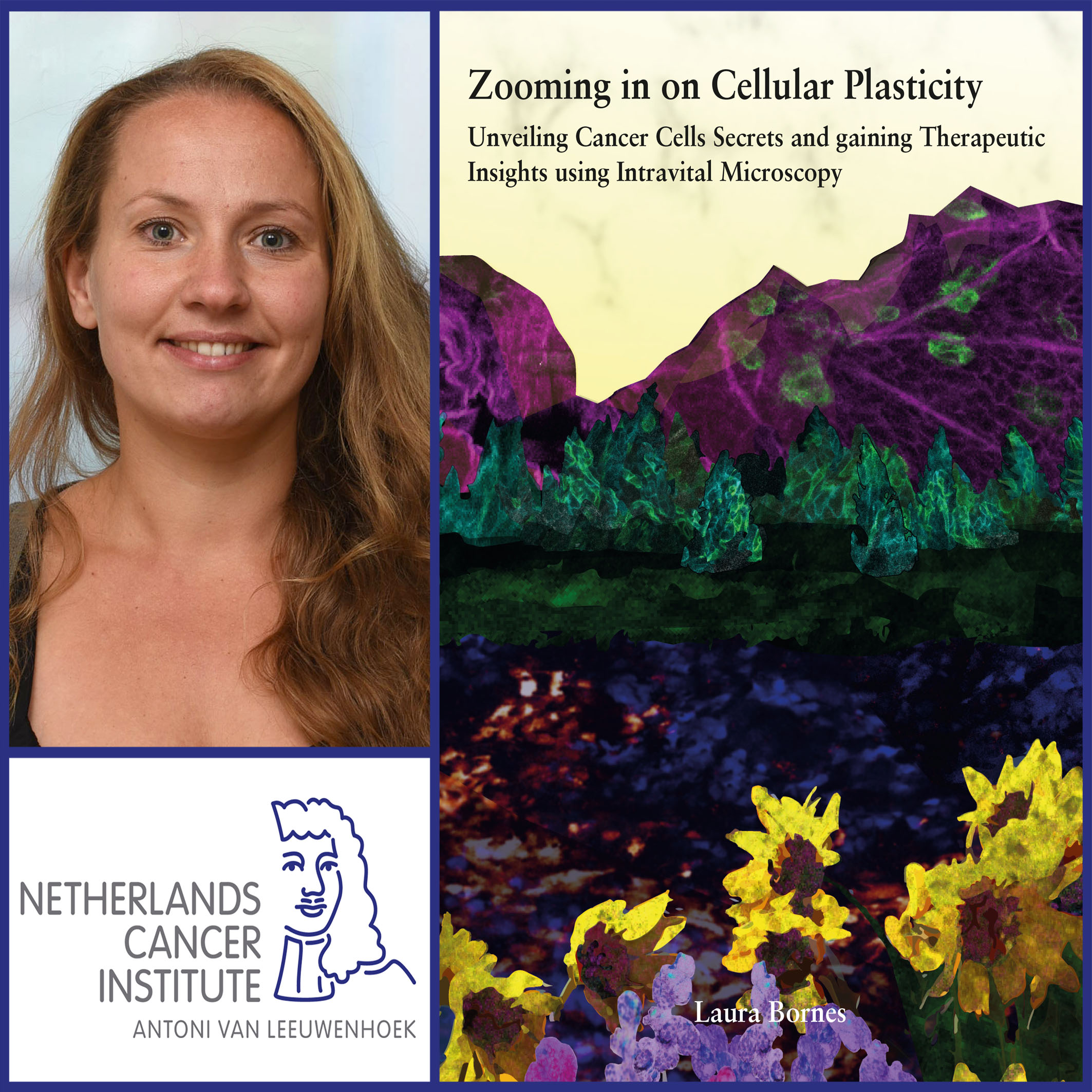 PhD defense Laura Bornes
