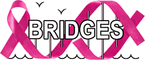 B-CAST and BRIDGES Online Closing Symposium