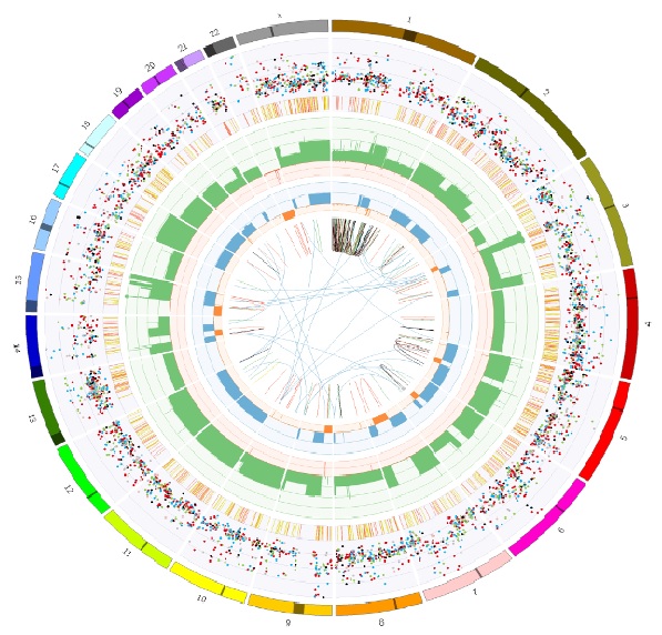 Overview DNA Changes And Potential Therapeutic Targets NKI
