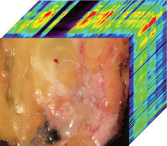 Hyperspectral Deep Learning