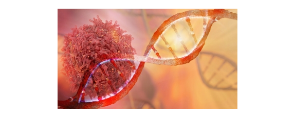 DNA mutations work together in the development of cancer. But how?