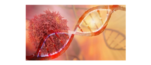 DNA mutations work together in the development of cancer. But how?