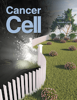 Cancer Cell Pub Krijn