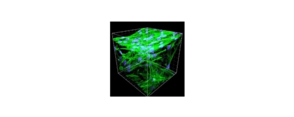 Wilbert Zwart receives ASPIRE award for drug test on 3D printed matrix (1)