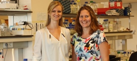 Researchers Ineke Brouwer And Julia Houthuijzen Receive Veni Grant