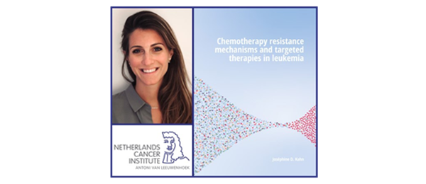 PhD dissertation Josephine Kahn: grip on resistance to chemotherapy