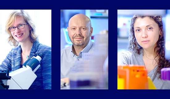 NKI Image 3 Scientists 550X320