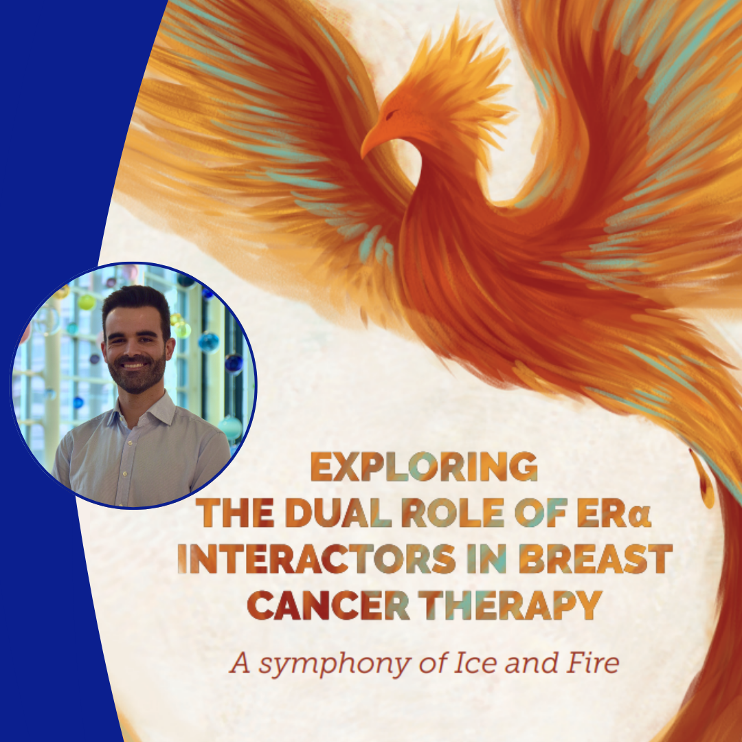 Banner NKI Nuno Padrao