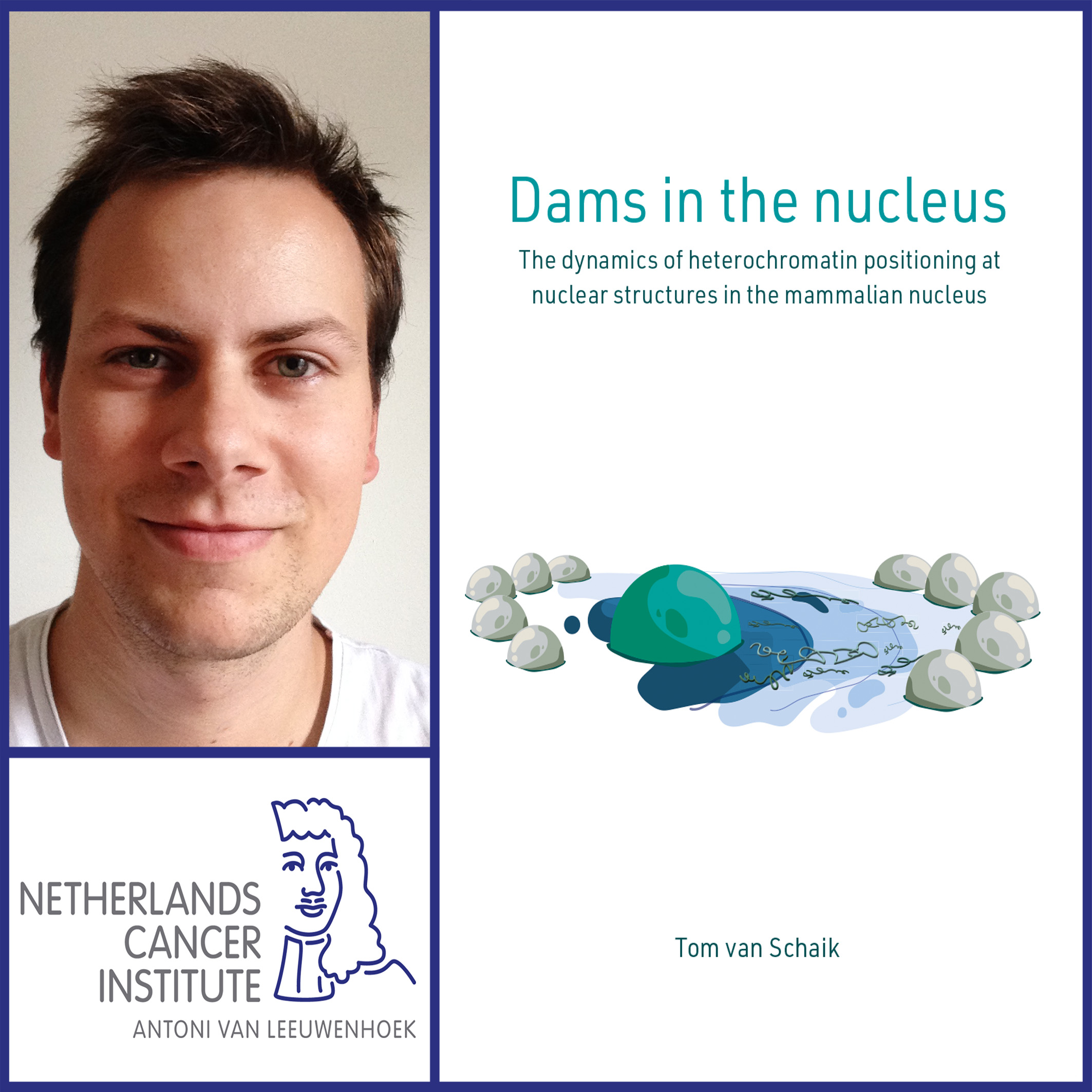 Thesis defense Tom van Schaik