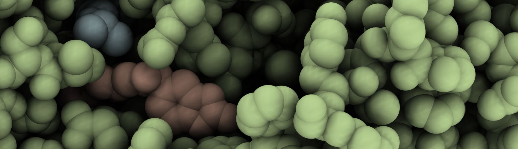 <p>Detail of the structure of the Autotaxin protein (green), a drug target, bound to a potential drug lead (brown) and its substrate (blue</p>