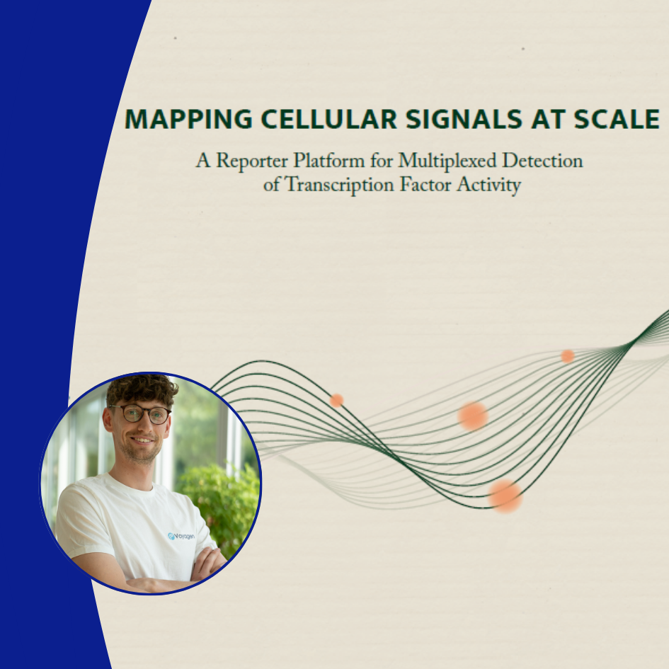 Banner NKI Max Trauernicht