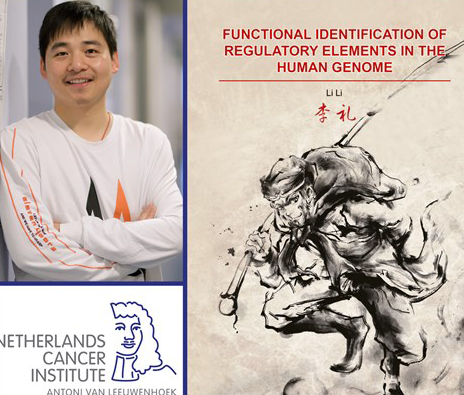 Thesis Defense Li Li New Functions Of Junk DNA Elucidated Preview Photo 1