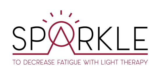 Sparkle Logo ENG Web