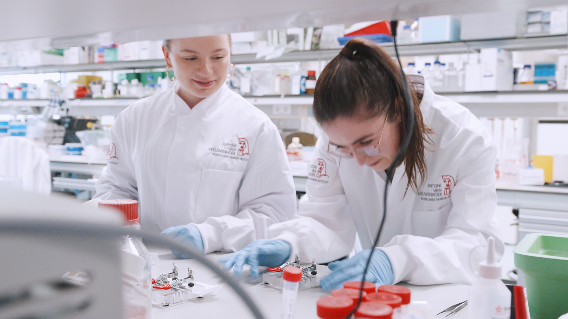 Ruw Vroegdiagnostiek Hristina.00 52 29 08.Still021