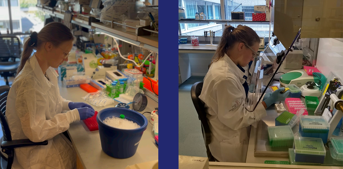 Iris Lab Stanford NKI