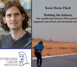 Thesis Defense Koen Flach Preview Photo 1