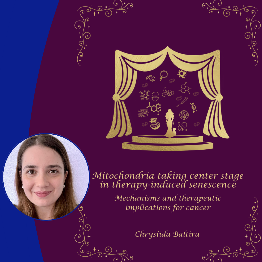 Thesis defense Chrysiida Baltira