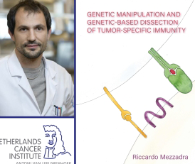 Thesis Defense Riccardo Mezzadra Preview Photo 1