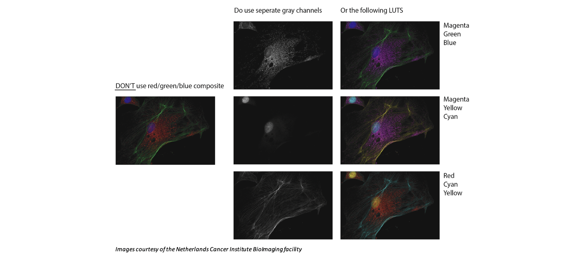 Color Blindness Figure 3 (1)