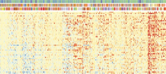 This image shows the response of 51 breast cancer cell lines to 1275 drug combinations.