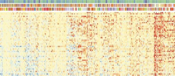 This image shows the response of 51 breast cancer cell lines to 1275 drug combinations.