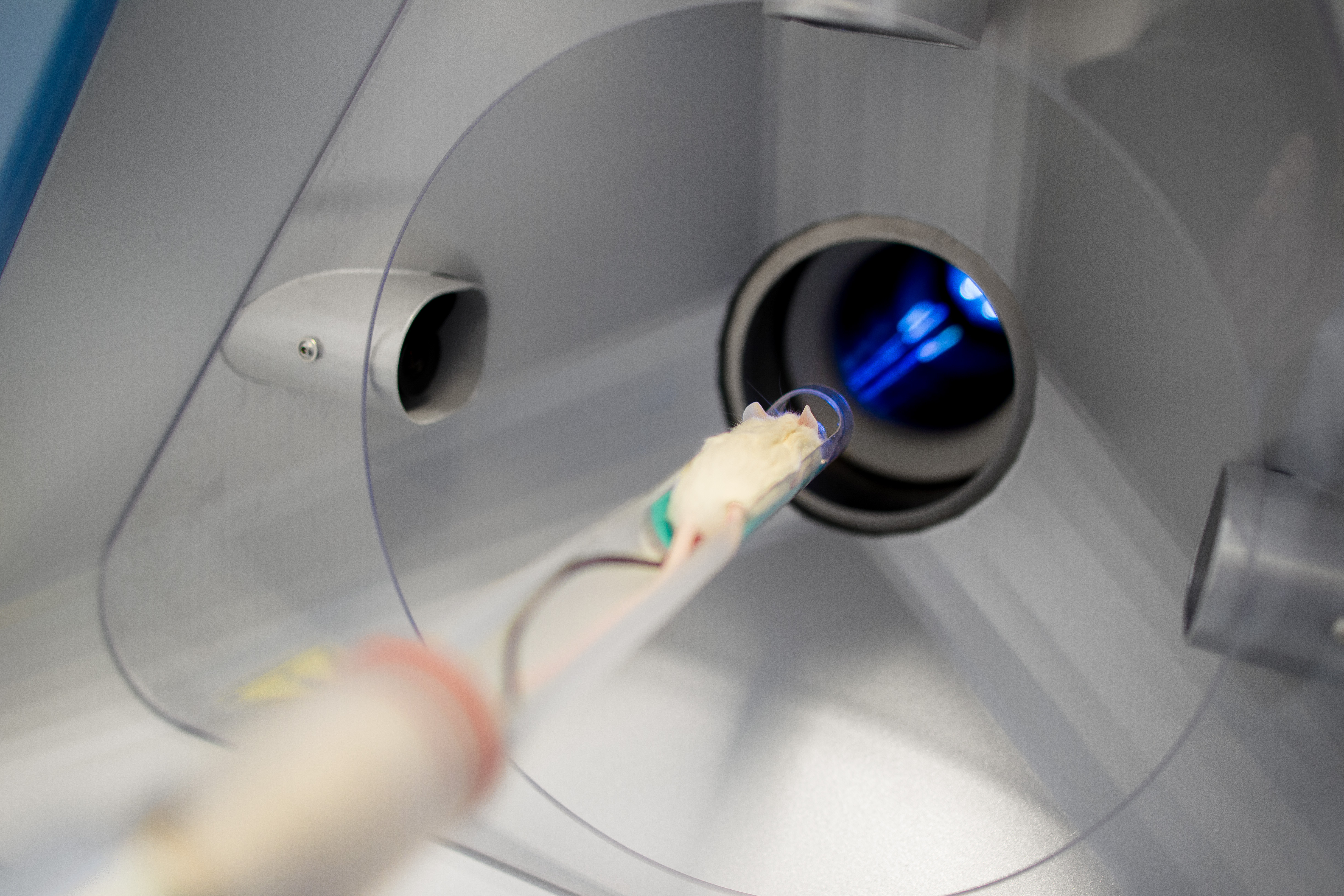 Preclinical Imaging