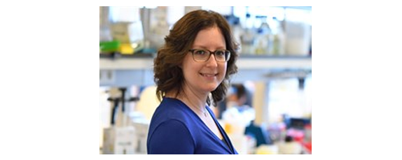 New Group Leader Daniela Thommen Exploits Tumor Avatars