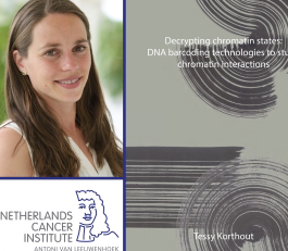 Doctorate Tessy Korthout A New Technique For Epigenetics Research 1