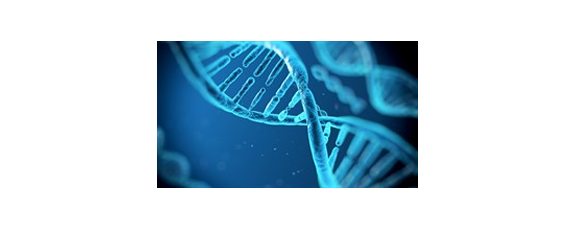 DNA