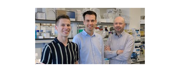 Possible New Approach To Immune Resistant Cancer Cells