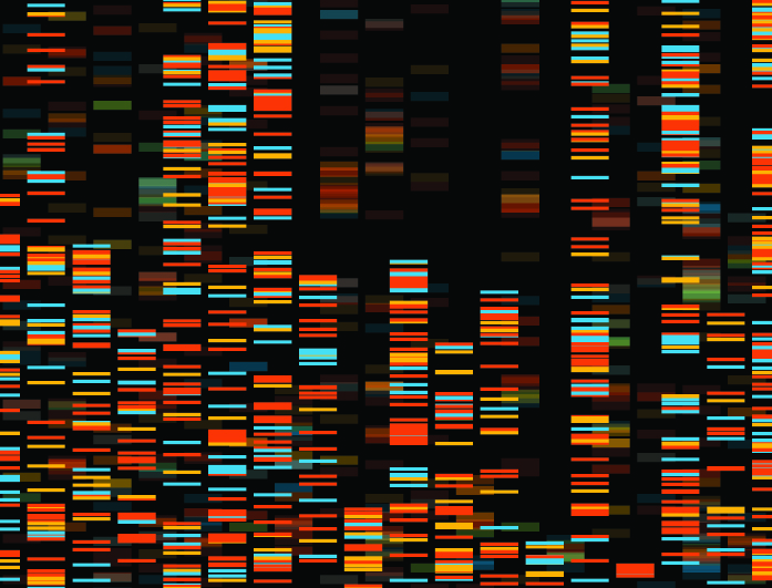 Dna Databank Nieuwsbericht 24 Okt 2019