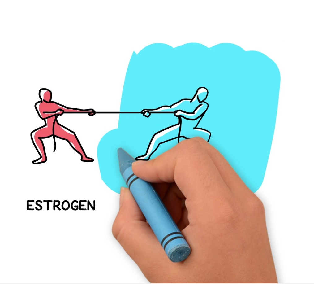 Still Androgen Receptor Video
