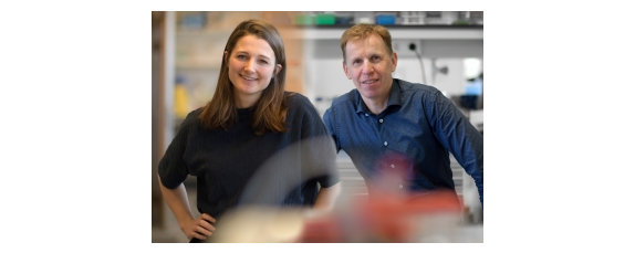 New strategy to tackle “don’t eat me” signal on cancer cells