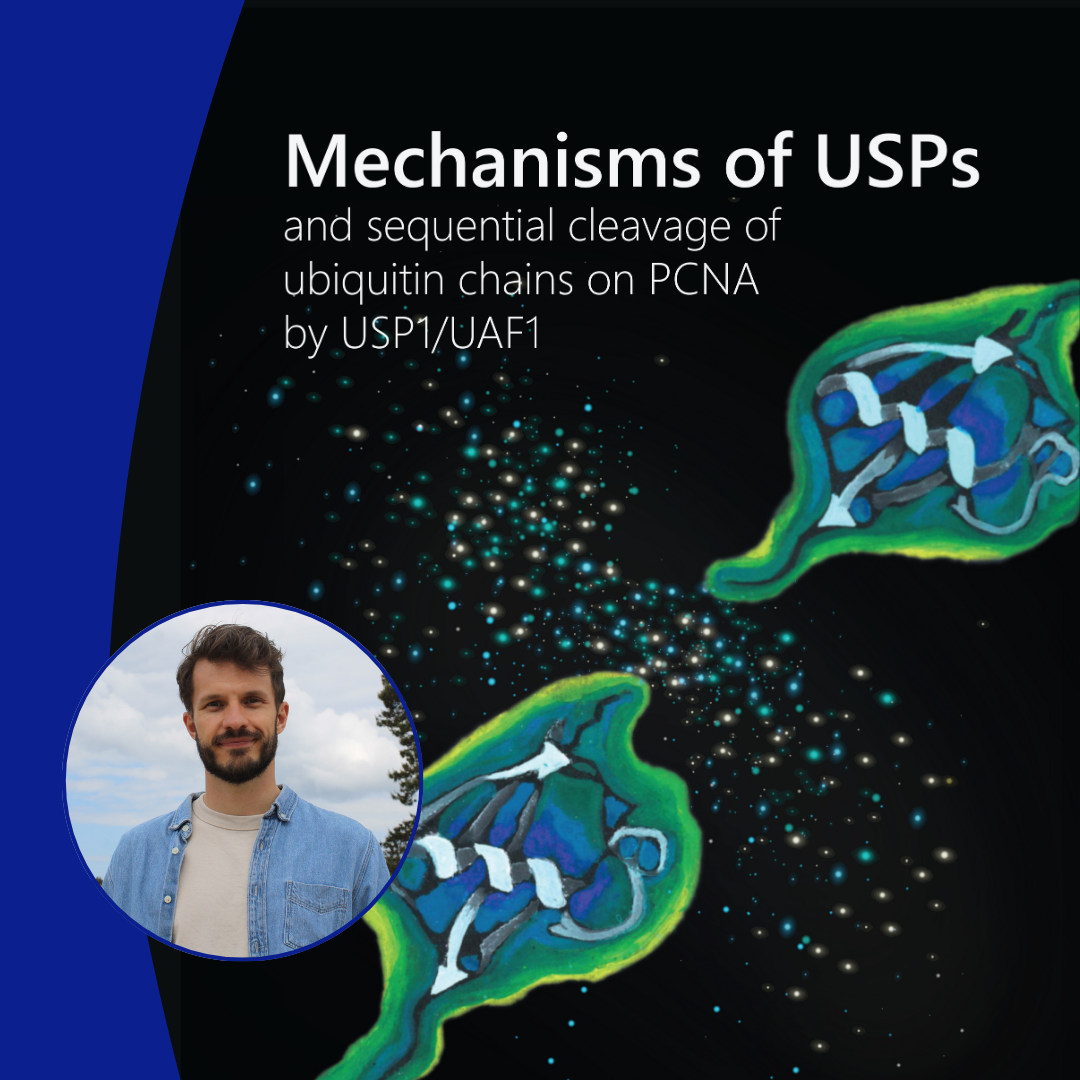 Thesis defense Niels Keijzer
