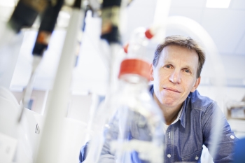 Exhausted Immune Cells In Tumour Are Actually Dynamic And Active
