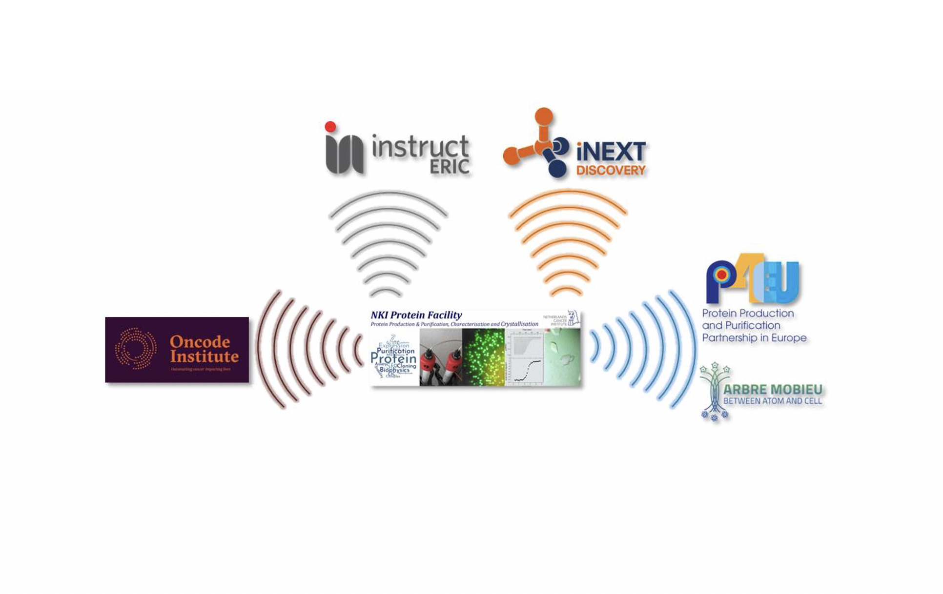 Protein Facility Networks (1)