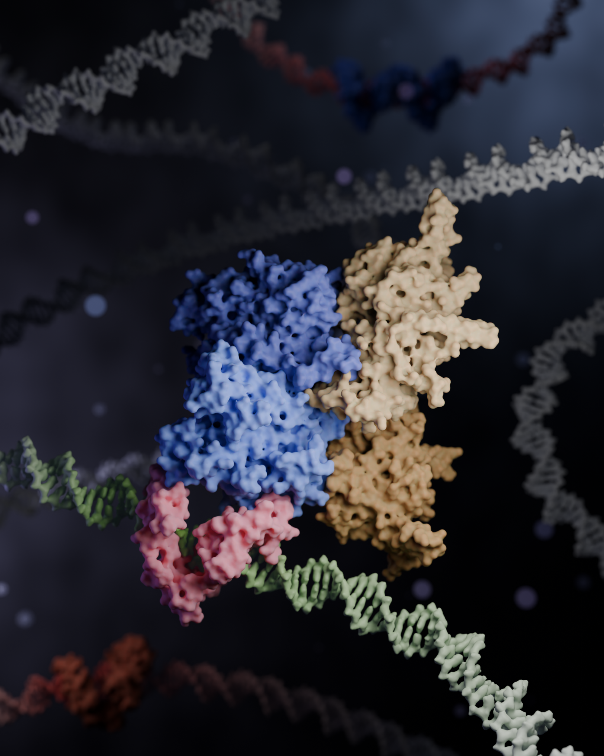 Zincore Structure