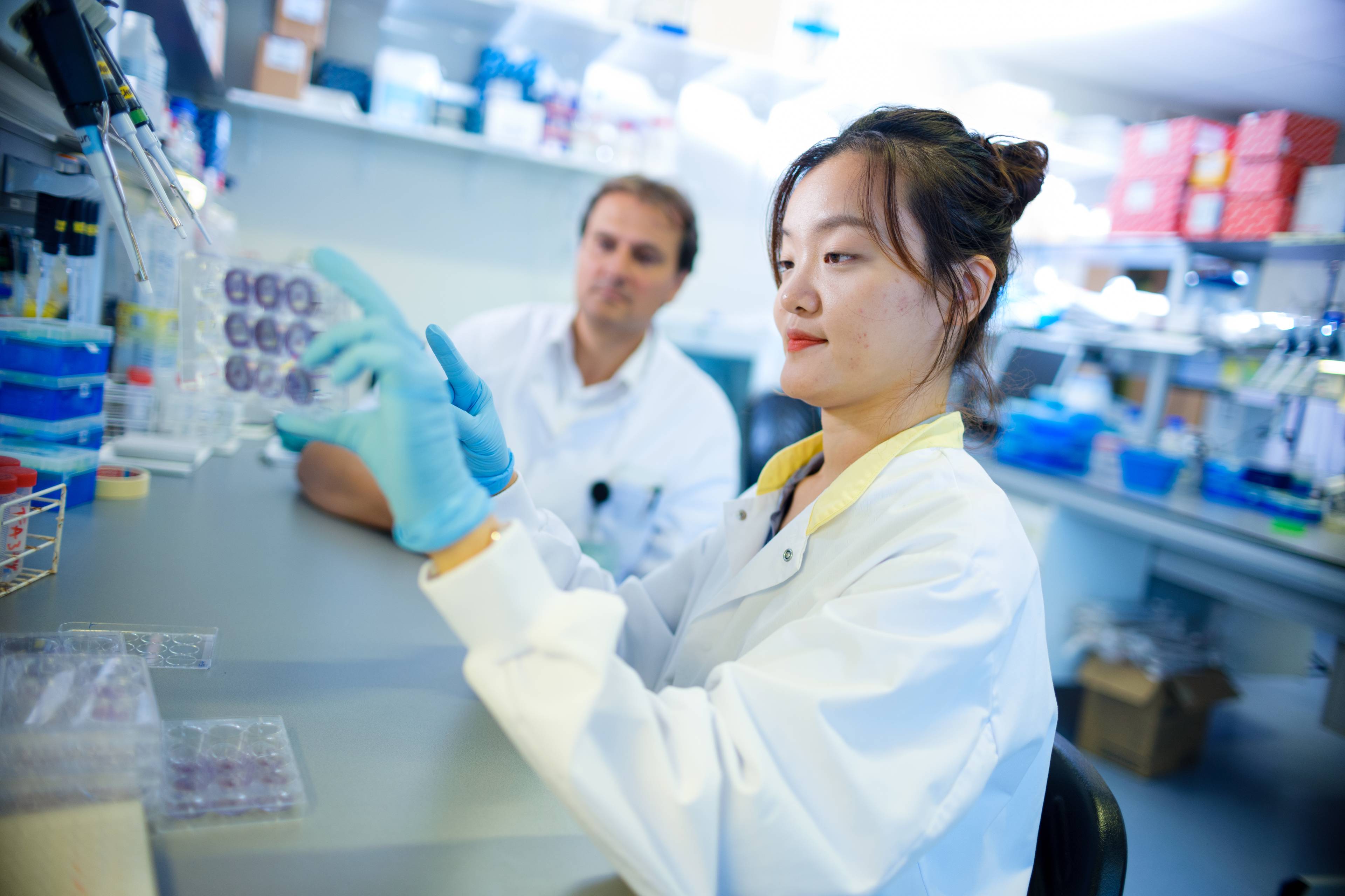 Find A Researcher Header