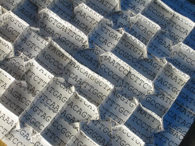 Chromosome Origami