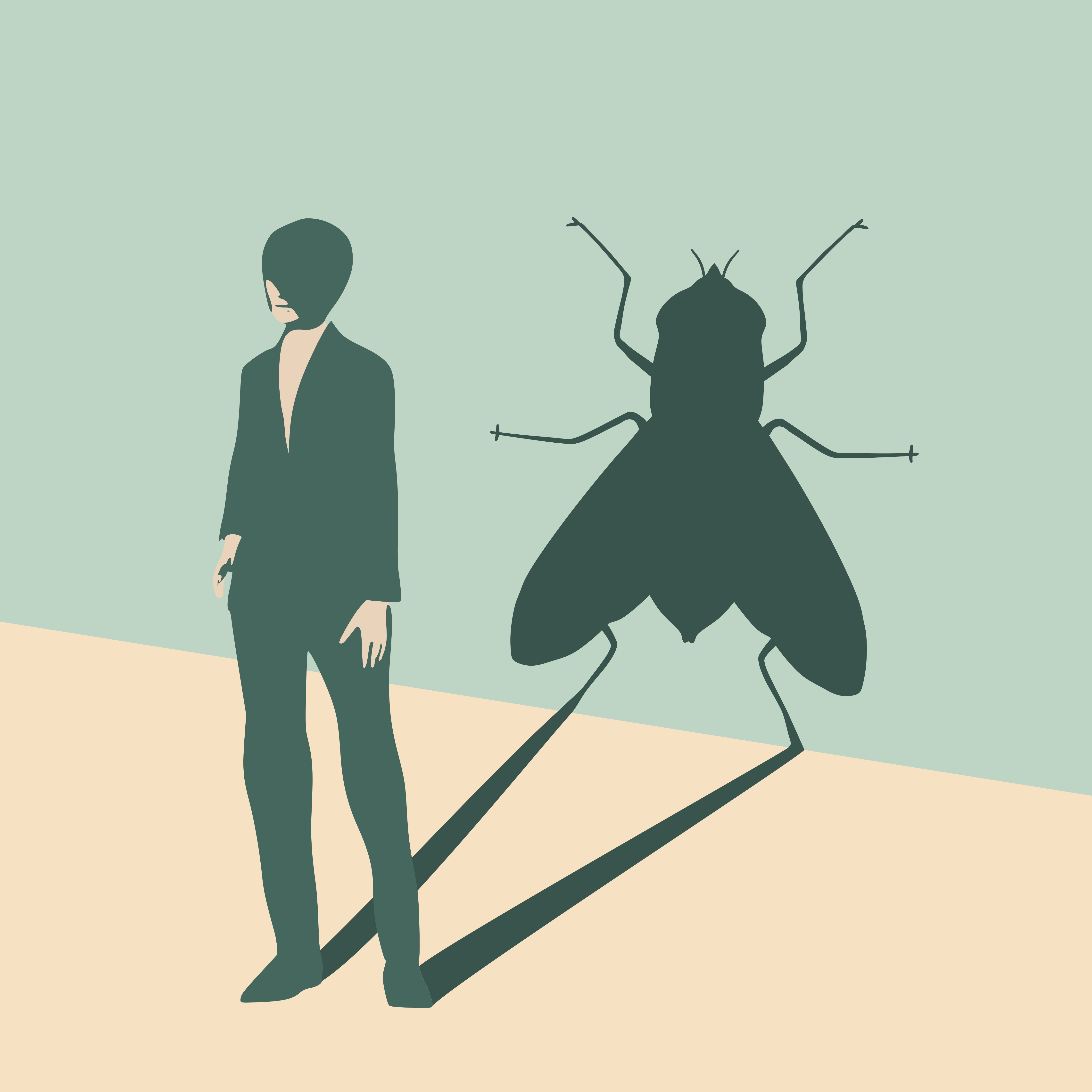 The Fly Shadow