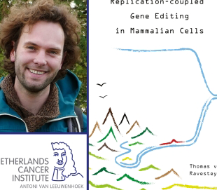 Thesis Defense Thomas Van Ravesteyn Genetic Modification With Short DNA Molecules Preview Photo 1