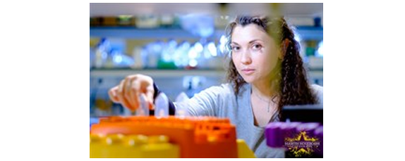 Harnessing Immune Cells To Battle Brain Tumors Leila Akkari