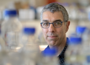 2,5 Million ERC Grant For Gene Regulation Research