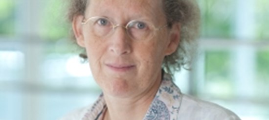 Epidemiologist Floor Van Leeuwen Receives Oeuvre Award
